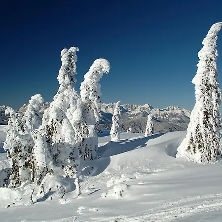 Проживание в семье Haus Holzer *