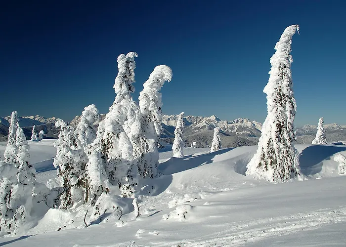 Séjour chez l'habitant Haus Holzer *